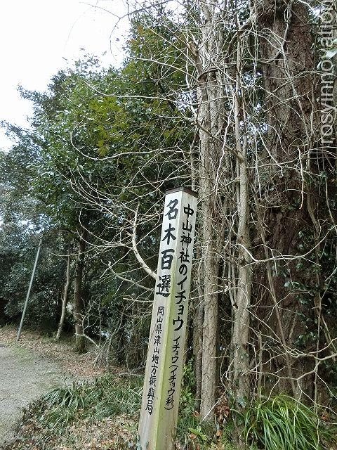 中山神社１２　猿神社