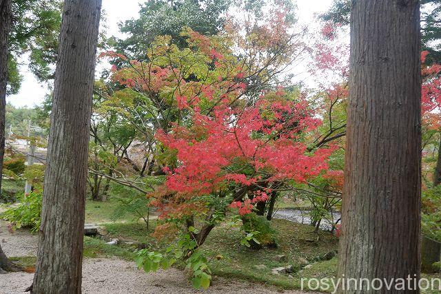 宝福寺１６　紅葉