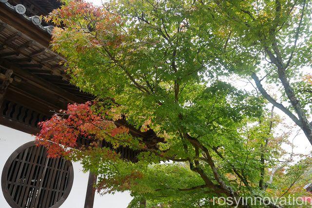 宝福寺１９　総社紅葉