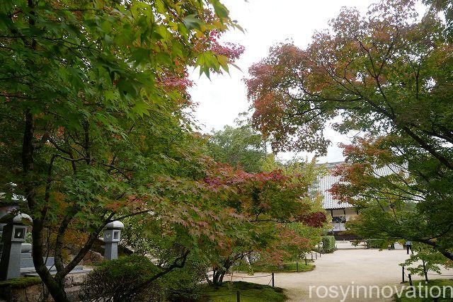 宝福寺２２　紅葉の時期