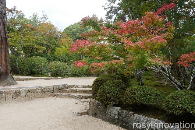 宝福寺１８　色づき始め