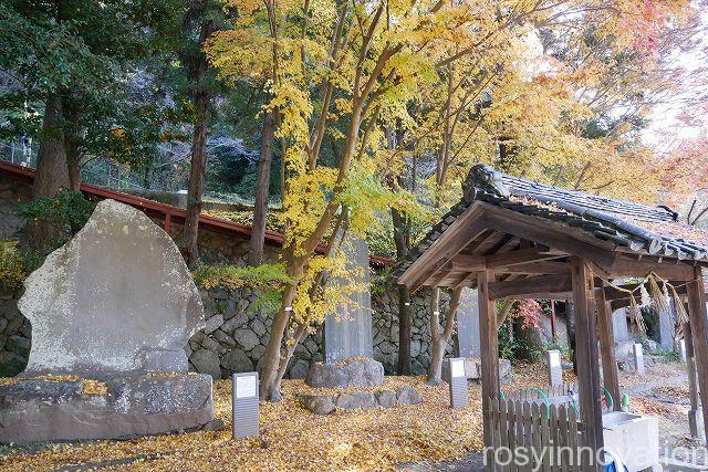 八重籬神社８　紅葉