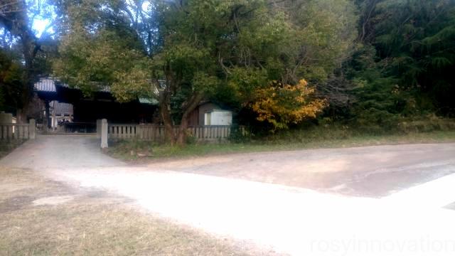 田潮八幡神社５　芝生