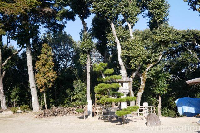 葦守八幡宮１２　松の木