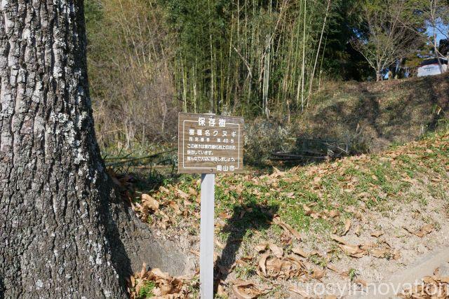 葦守八幡宮７　クヌギ