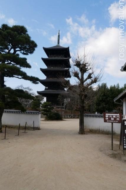 備中国分寺８　五重塔　れんげ祭