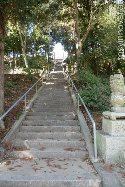 縣主神社５　階段