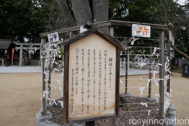 阿智神社１０　縁結び