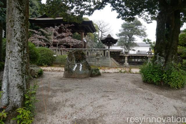 阿智神社１６　見学