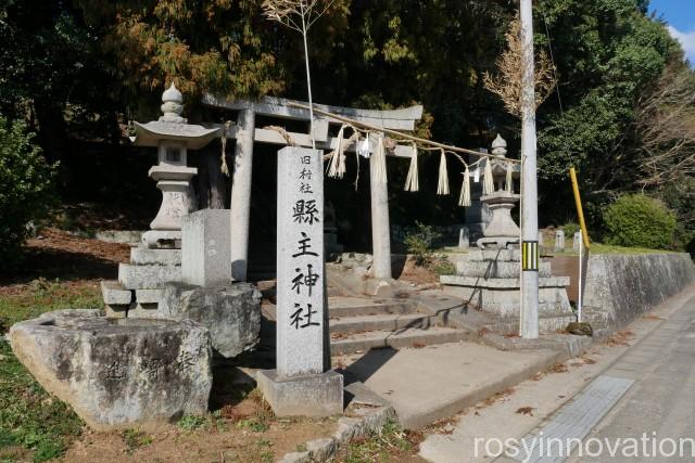 縣主神社４　鳥居