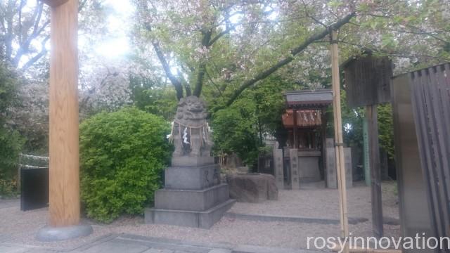 堀越神社５　境内