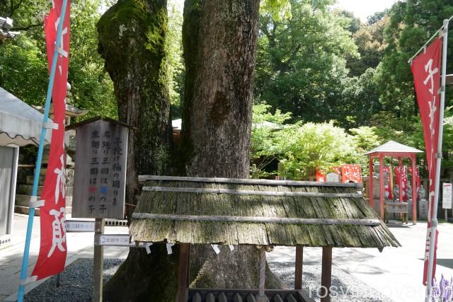 由加神社１６　子授け桶