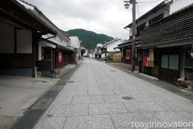 安養寺 (5)勝山保存地区