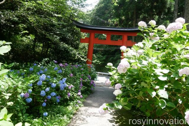 木山神社 (1)