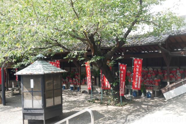 大雲寺 (5)