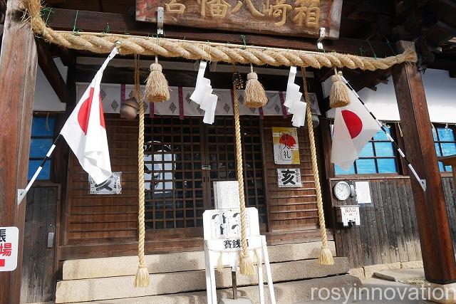 箱崎八幡宮 (12)拝殿