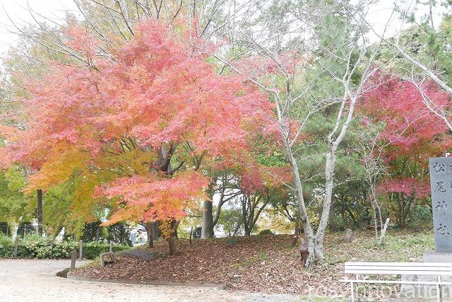 木鍋八幡宮 (2)